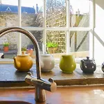 Forge View *